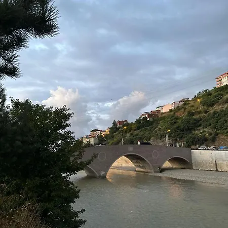 Her Yere Yakin Luesk Oezel Villa
